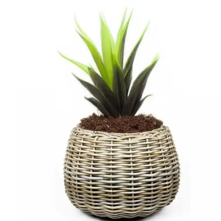 V/d Leeden Planten mand - rond - rotan - riet - 57x44cm - drypot