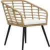 vidaXL - Bistroset - Bruin - Poly rattan