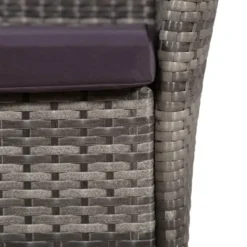 vidaXL - Bistroset - Grijs - Poly rattan