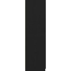 vidaXL - 2-deurs Kledingkast met 2 lades - Bewerkt hout - Zwart - 80x52x180 cm