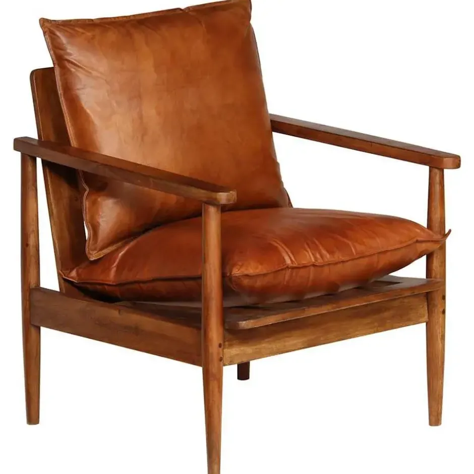 vidaXL - Fauteuil - Bruin - Leer