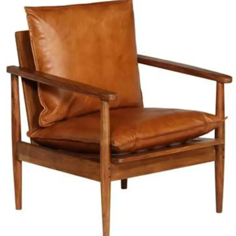 vidaXL - Fauteuil - Bruin - Leer