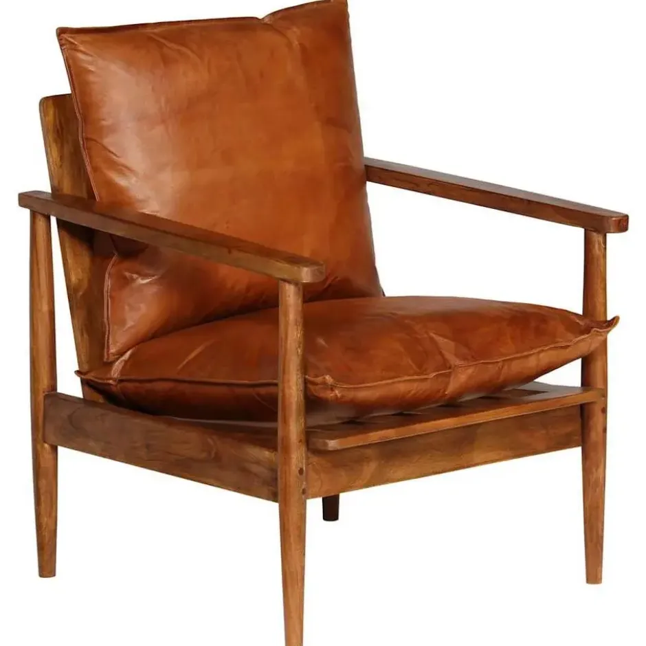 vidaXL - Fauteuil - Bruin - Leer