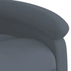vidaXL - Fauteuil - Grijs - Fluweel