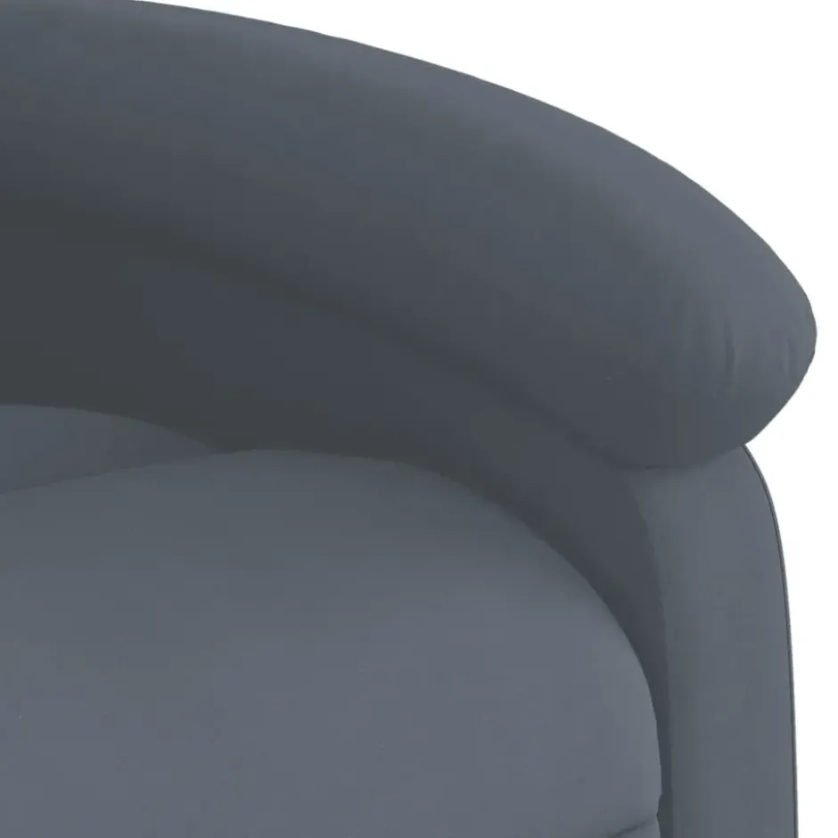 vidaXL - Fauteuil - Grijs - Fluweel