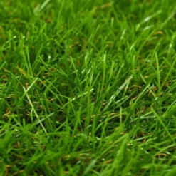 vidaXL - Kunstgras - Groen - Polypropyleen