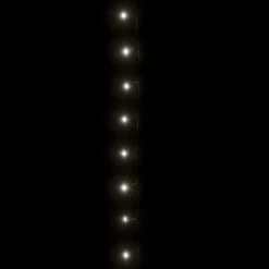 vidaXL - Led-slinger - Koudwit - 15 m