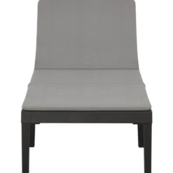 vidaXL - Ligstoel - Antraciet - Kunststof