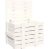 vidaXL - Opbergbox - Wit - Grenenhout - 58 x 40.5 x 42 cm