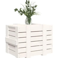 vidaXL - Opbergbox - Wit - Grenenhout - 58 x 40.5 x 42 cm