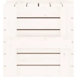 vidaXL - Opbergbox - Wit - Grenenhout - 58 x 40.5 x 42 cm