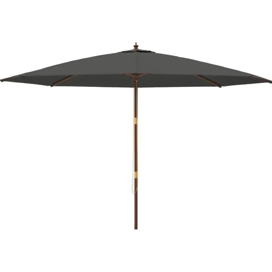 vidaXL - Parasol - Antraciet - Hout