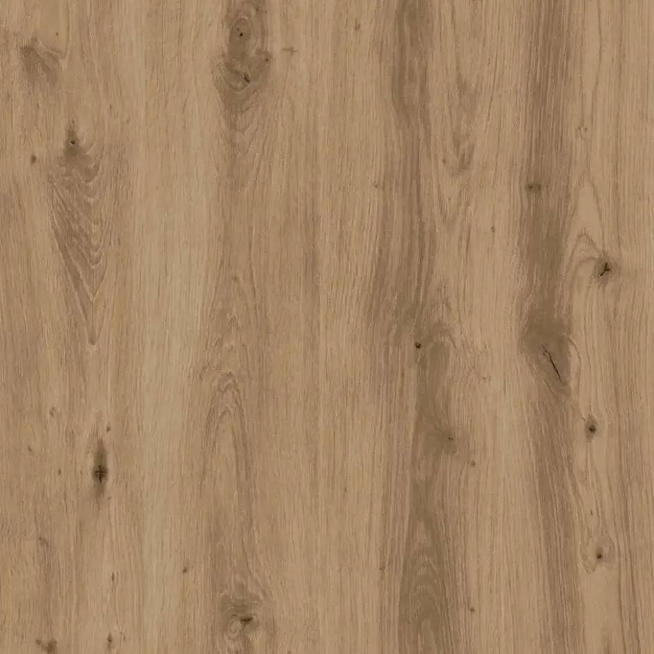 vidaXL - Schoenenkast met 2 deuren - Artisanaal eiken - Hout - 59x35x70 cm