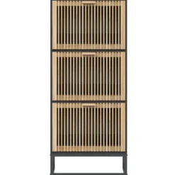 vidaXL - Schoenenkast 6 paar met 3 lameldeur - Zwart - Hout - 52x25x120 cm