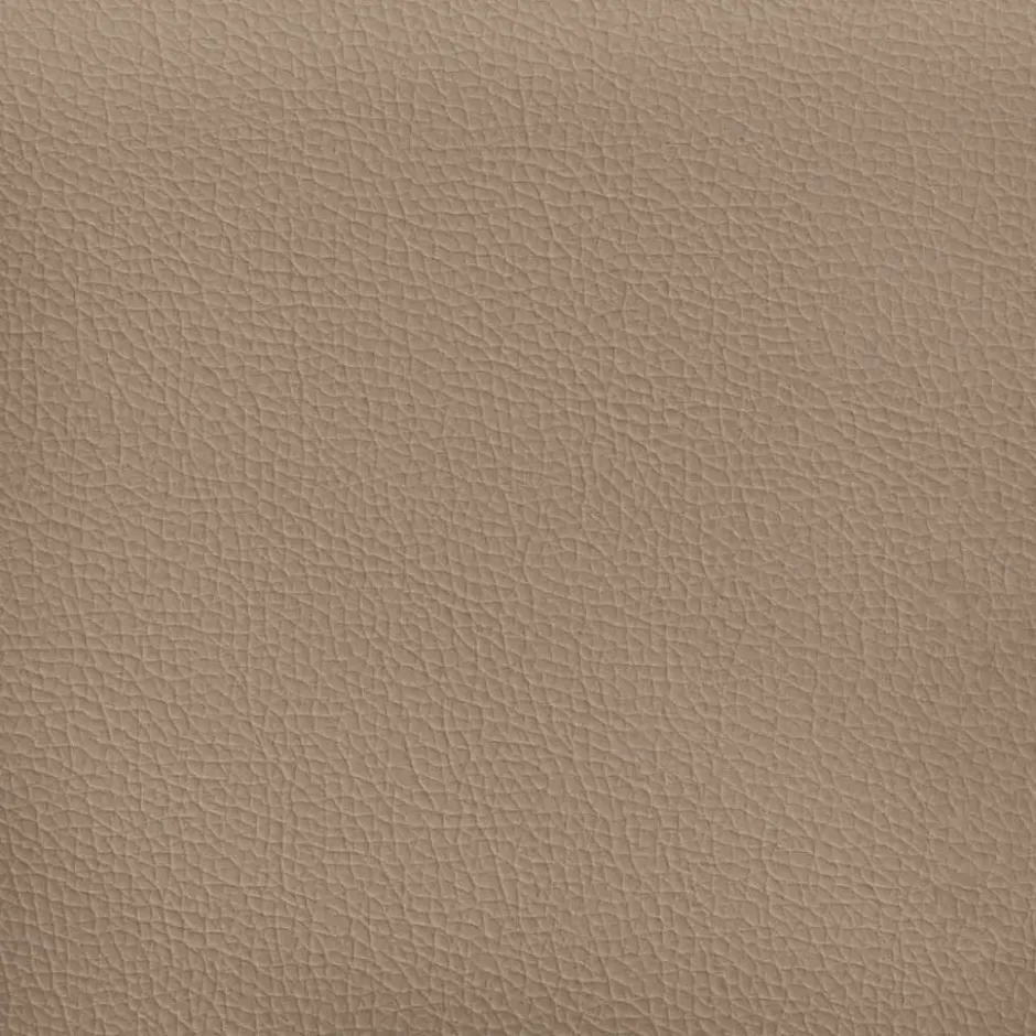 vidaXL Slaapbank 2-zits inklapbaar met kussens - Cappuccino kunstleer - 112 cm
