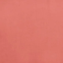 vidaXL - Slaapbank 2-zits - Roze - Fluweel - Met kussens