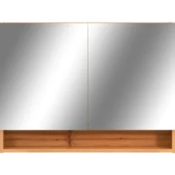 vidaXL - Spiegelkast - Bruin - MDF