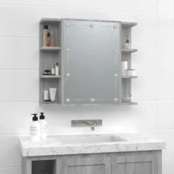 vidaXL - Spiegelkast met LED-verlichting 70x16,5x60 cm grijs sonoma