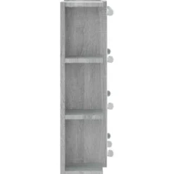vidaXL - Spiegelkast met LED-verlichting 70x16,5x60 cm grijs sonoma