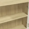 vidaXL - Spiegelkast - Wit - MDF