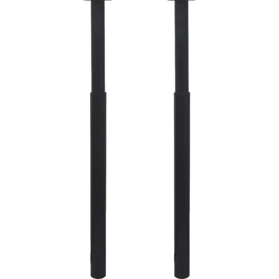 vidaXL - Tafelpoot - Zwart - IJzer - 2 stuks