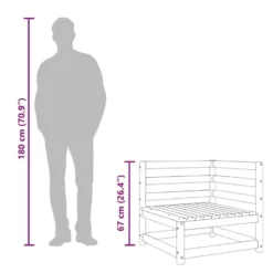vidaXL - Tuinbank 2-zits met voetenbank - Naturel - Massief grenenhout
