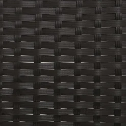 vidaXL - Tuinbank 2-zits - Zwart - Poly rattan - Met zwart kussens