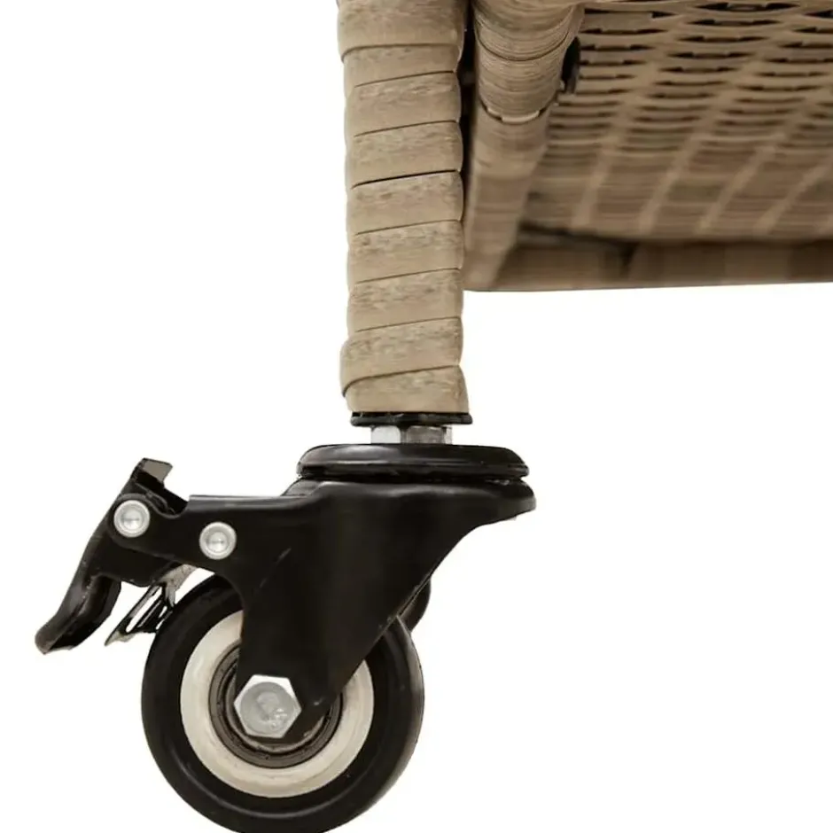 vidaXL - Tuinbox - Beige - Poly rattan