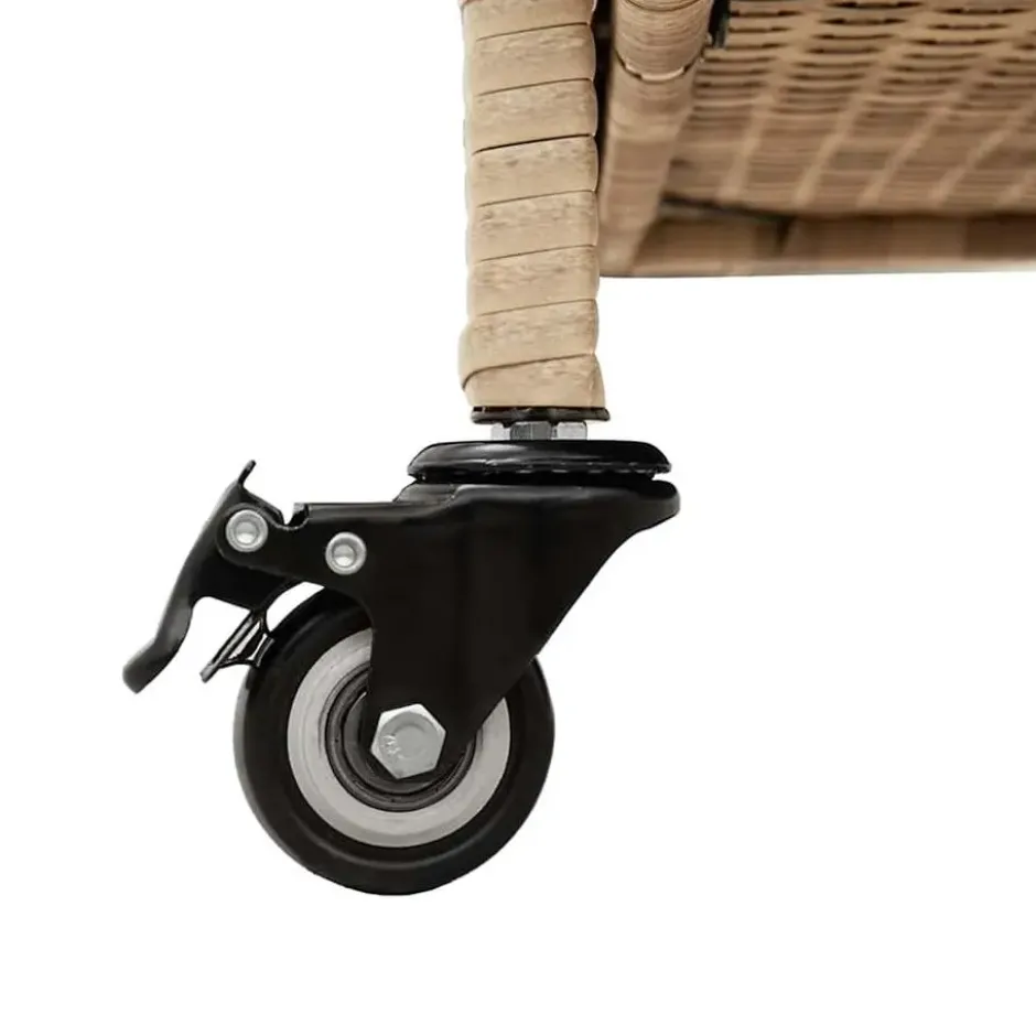 vidaXL - Tuinbox - Beige - Rattan