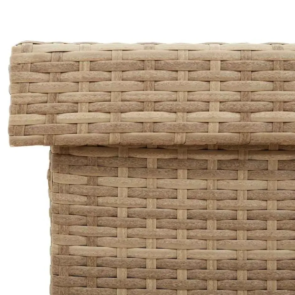 vidaXL - Tuinbox - Beige - Rattan