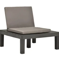 vidaXL - Tuinloungestoel - Antraciet - Kunststof