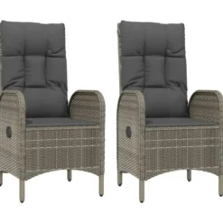 vidaXL - Tuinstoelen - Armsteun- Grijs - Poly rattan - 2 stuks - 57x62,5x109 cm