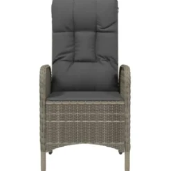vidaXL - Tuinstoelen - Armsteun- Grijs - Poly rattan - 2 stuks - 57x62,5x109 cm