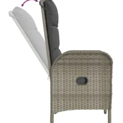 vidaXL - Tuinstoelen - Armsteun- Grijs - Poly rattan - 2 stuks - 57x62,5x109 cm
