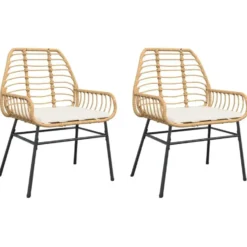 vidaXL - Tuinstoelen - Kussens - Bruin - Poly rattan - 2 stuks