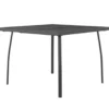 vidaXL - Tuintafel - Antracietkleurig - Staalgaas - 100 x 100 x 72 cm