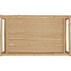 vidaXL - Tuintafel - Bruin - Bamboe - 100 x 55 x 33 cm
