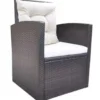 vidaXL - Tuintafel En Stoel - Bruin - Poly rattan