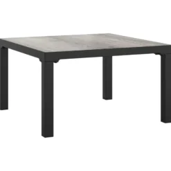 vidaXL - Tuintafel - Grijs - DPC en staal - 55 x 55 x 31 cm
