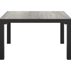 vidaXL - Tuintafel - Grijs - DPC en staal - 55 x 55 x 31 cm