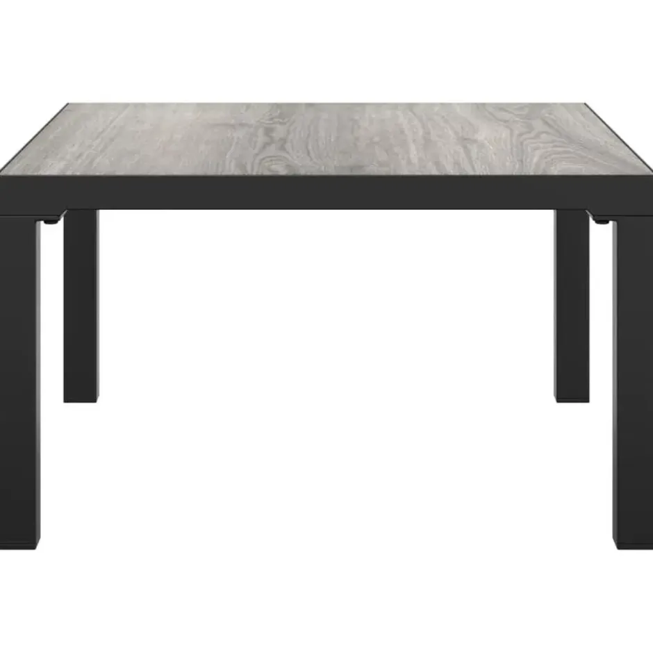 vidaXL - Tuintafel - Grijs - DPC en staal - 55 x 55 x 31 cm
