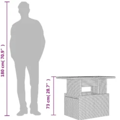 vidaXL - Tuintafel met glazen blad - Zwart - Poly rattan - 100 x 55 x 73 cm
