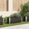 vidaXL - Verhoogde Tuinbak - Antraciet - Staal
