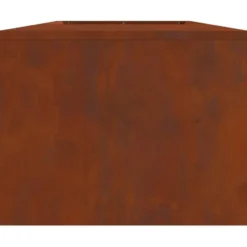 vidaXL - Vuurkorf Bruin 160 x 45 x 35 cm Staal