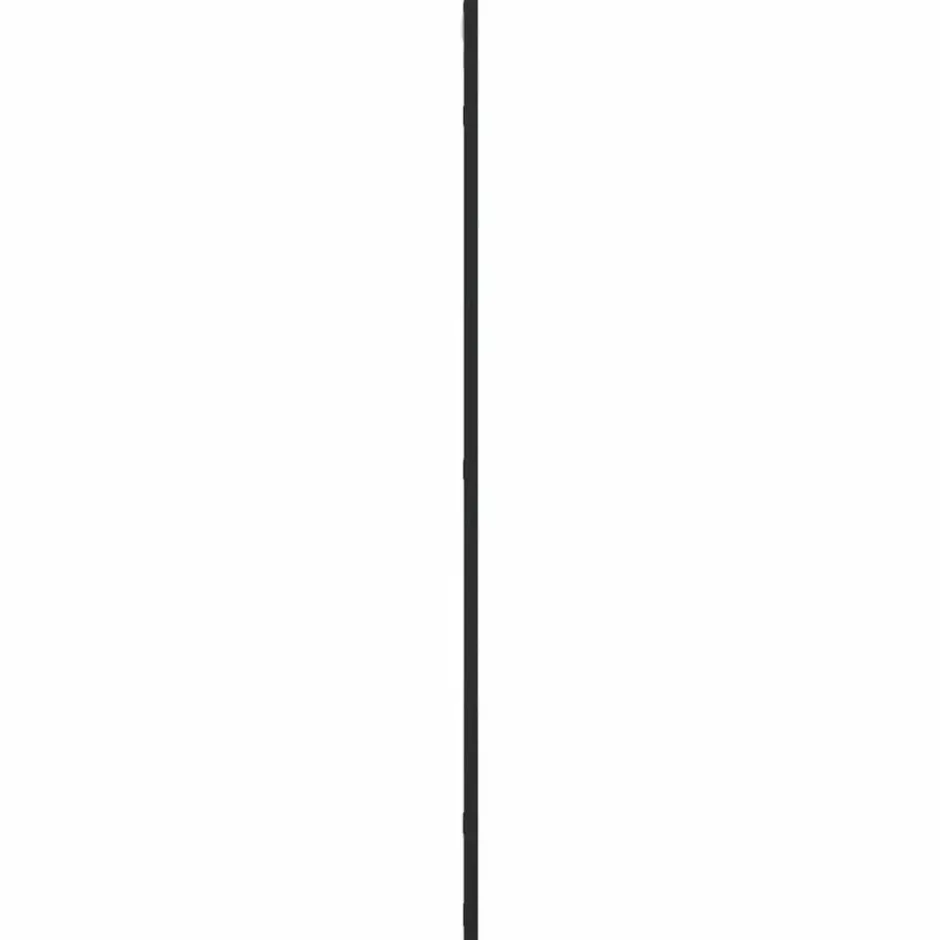 vidaXL - Wandspiegel - Zwart - IJzer - 50 x 100 cm