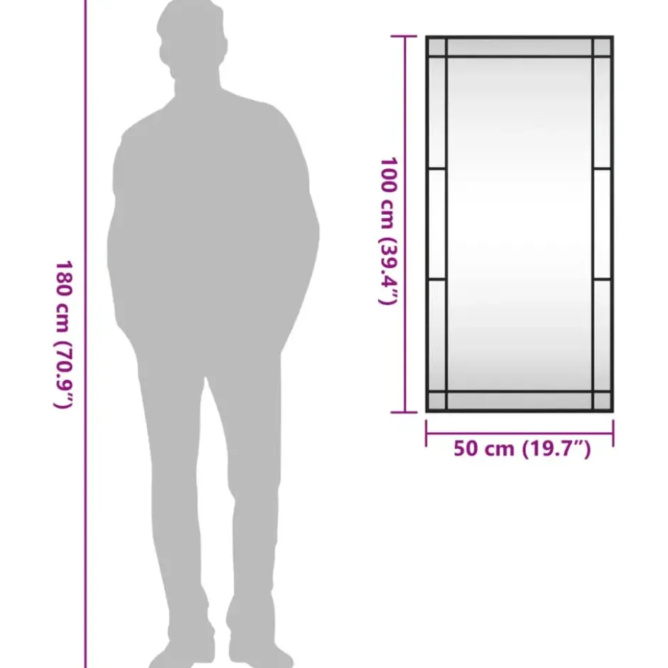 vidaXL - Wandspiegel - Zwart - IJzer - 50 x 100 cm