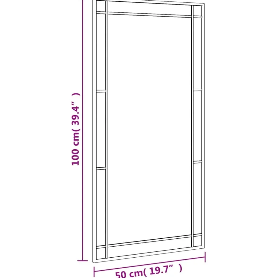 vidaXL - Wandspiegel - Zwart - IJzer - 50 x 100 cm