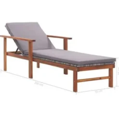vidaXL - Zonnebed - Grijs - Poly rattan