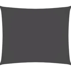 vidaXL - Zonnezeil - Antraciet - 4 x 6 m