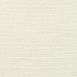 vidaXL - Zonnezeil - Crème - 4 x 6 m